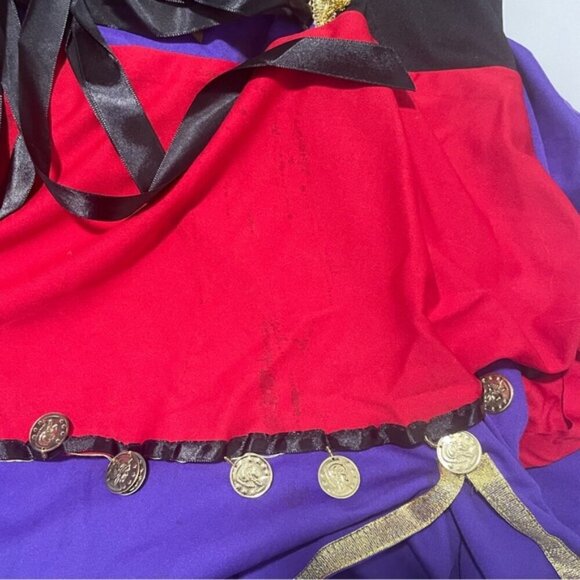 Traveling Gypsy Costume - Size 3X/4X - Picture 7 of 8